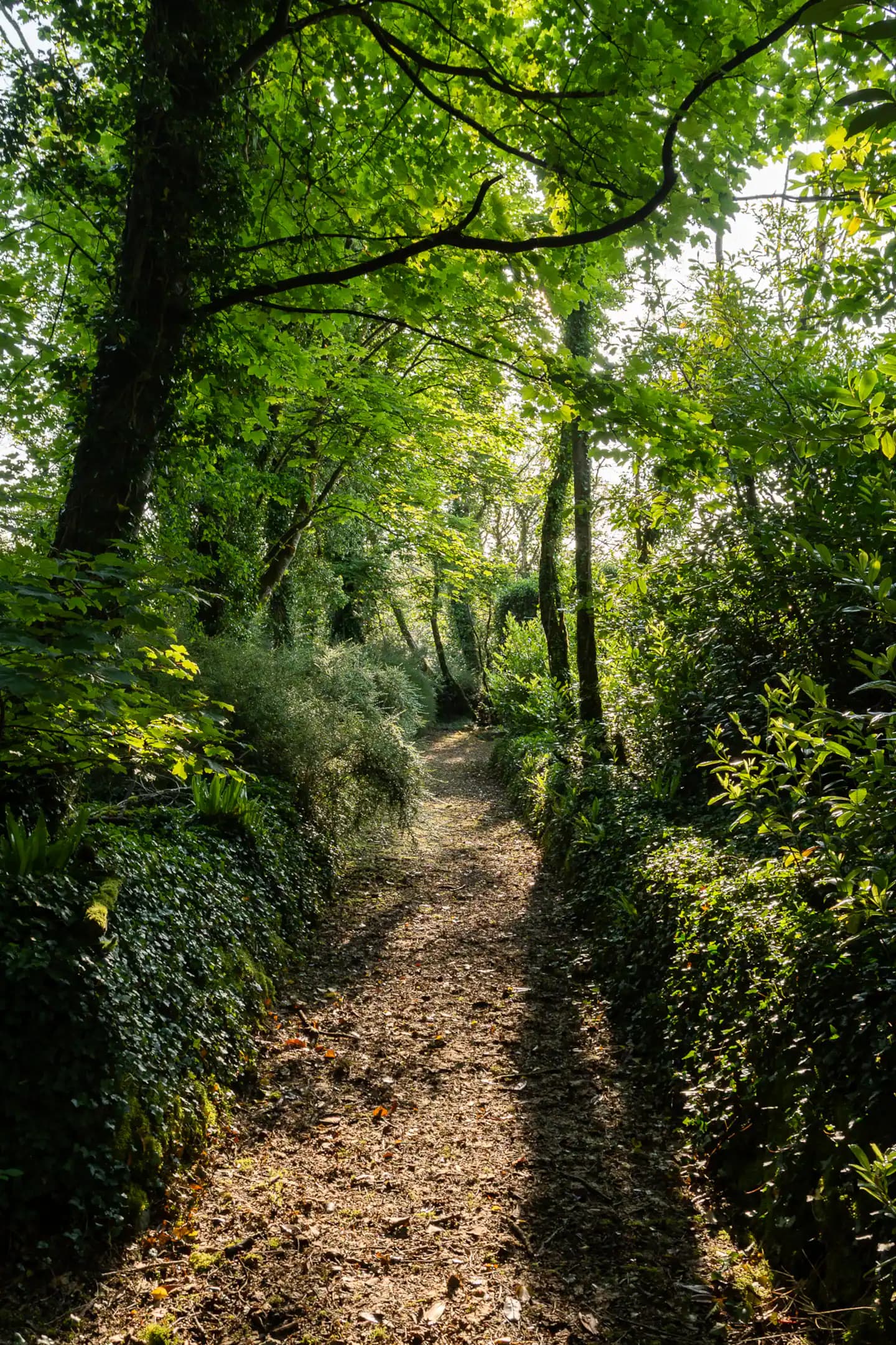 Hiking & Walking — photo 2