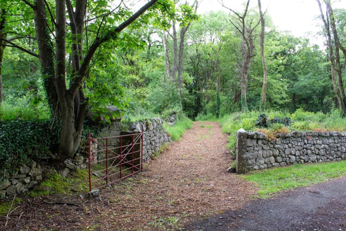 Hiking & Walking — photo 1